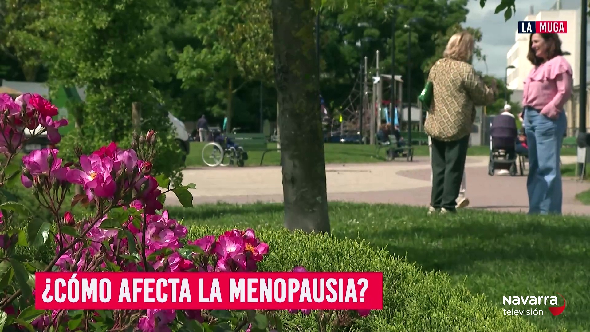 Cómo llevar la menopausia, un ciclo de vida al que hacen frente todas las mujeres
